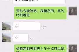 个人担保借款催收通知：了解你的权益与应对策略