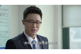 辰溪要钱公司排名前十名