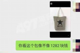 支付宝几十万催收：揭秘网络贷款催收现状与应对策略