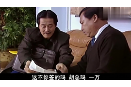 齐齐哈尔催收公司：专业高效，守护您的权益